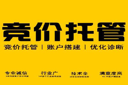 行业领先的SEM策略：成功案例与经验分享